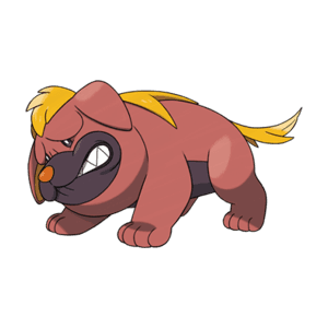 Pokémon Grondogue