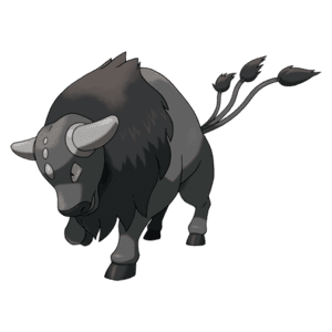 Pokémon Tauros de Paldea Race Combative