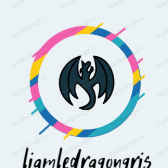 Photo de profil de liamledragongris